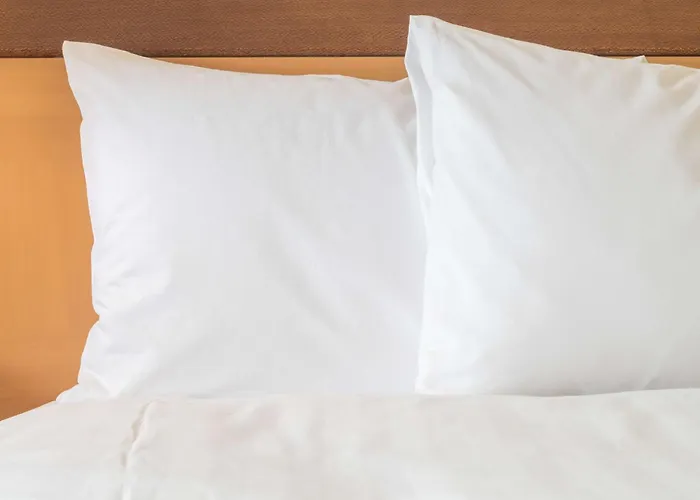 - The Niu, Charly Frankfurt By Ihg Hotell 3*